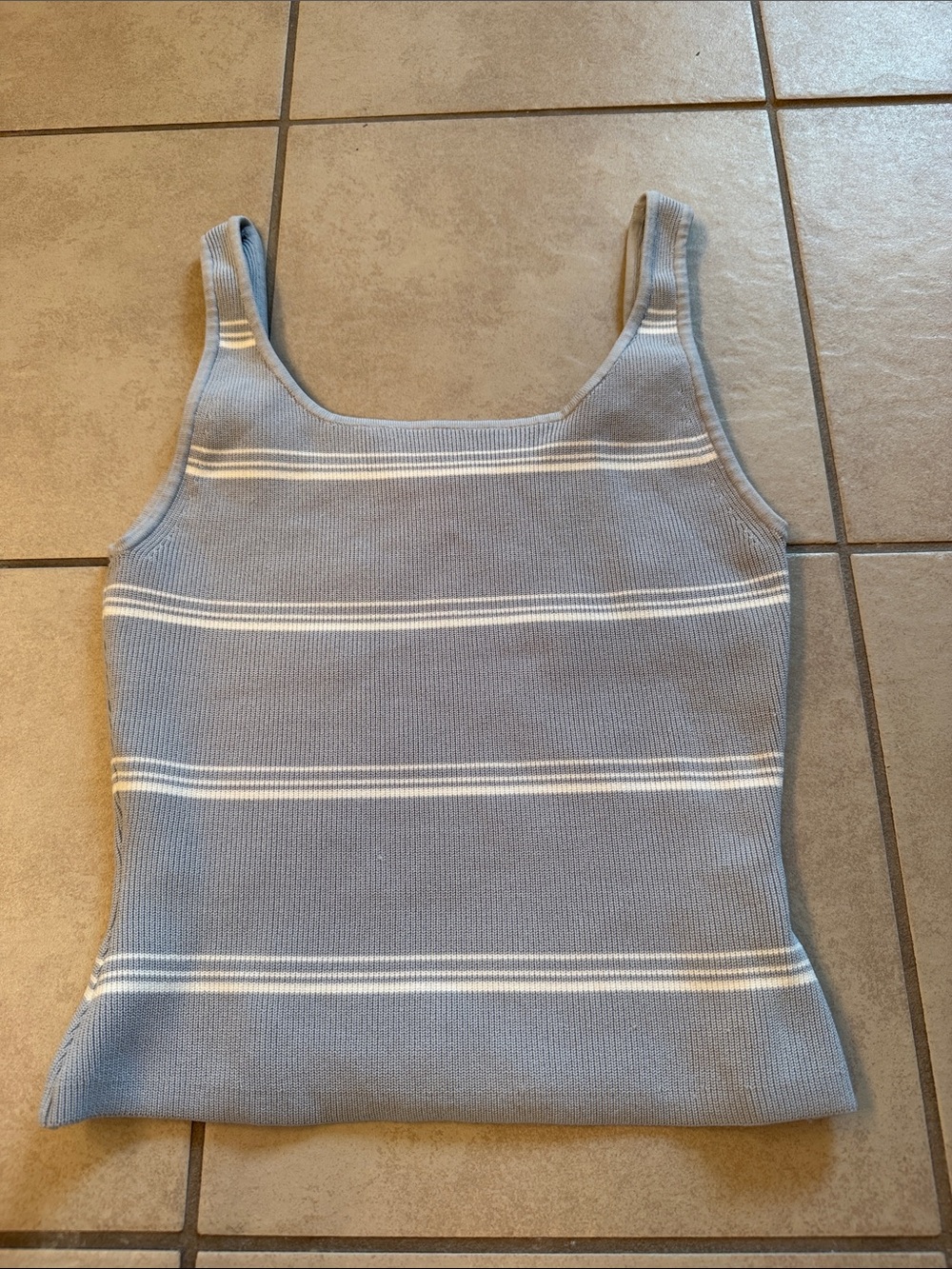 NWT Aritzia Babaton Sculpt Knit Tank